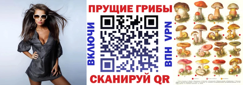 MEGA tor  Светлый  Галлюциногенные грибы ЛСД  как найти закладки 
